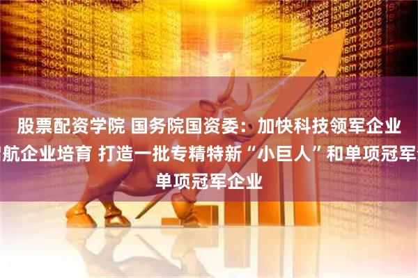 股票配资学院 国务院国资委：加快科技领军企业和启航企业培育 打造一批专精特新“小巨人”和单项冠军企业