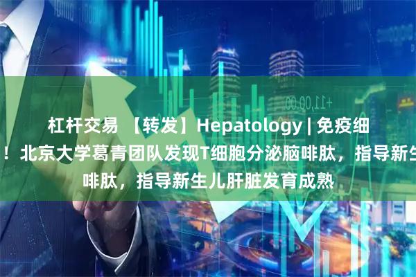 杠杆交易 【转发】Hepatology | 免疫细胞跨界当“导师”！北京大学葛青团队发现T细胞分泌脑啡肽，指导新生儿肝脏发育成熟