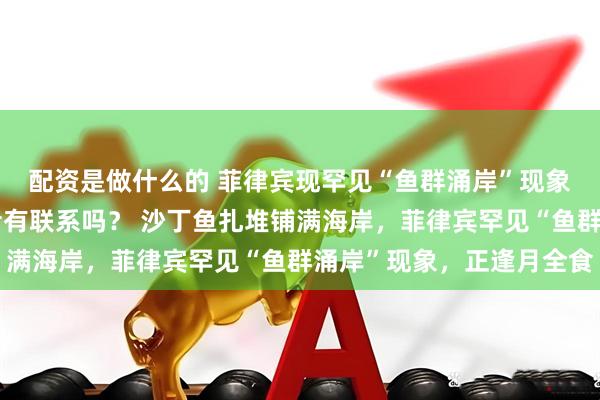 配资是做什么的 菲律宾现罕见“鱼群涌岸”现象，恰逢月全食，这两者有联系吗？ 沙丁鱼扎堆铺满海岸，菲律宾罕见“鱼群涌岸”现象，正逢月全食
